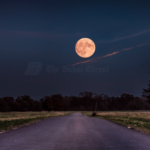 You can See Pink Moon in Dubai This Sunday, April 13th