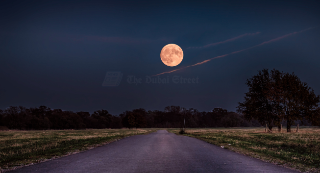 Spots to Watch Pink Moon