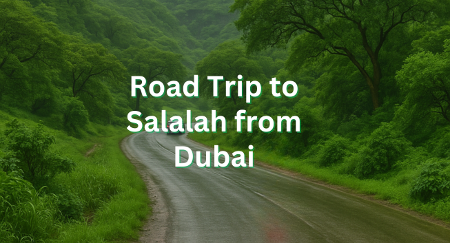 Best Time to Visit Salalah